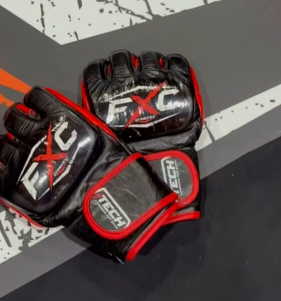 FXC gloves on canvas