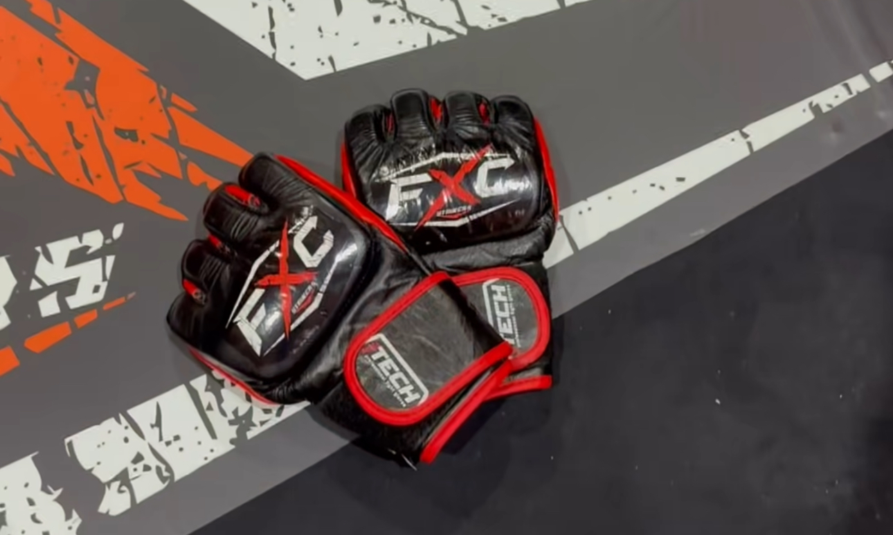 FXC gloves on canvas