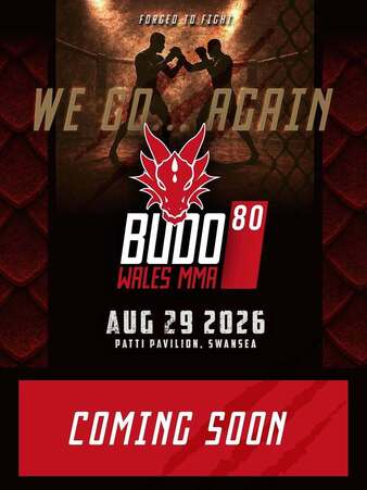 Budo Fighting Championship 80 poster